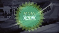 Posadź sobie drzewo