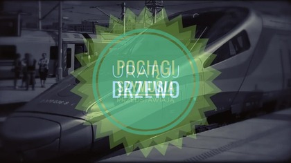 Posadź sobie drzewo