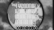 24205