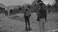 Król szczurów 1965 lektor pl