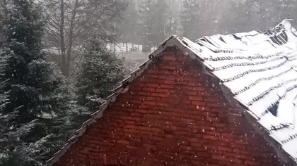 #happynewyear #szczęśliwegonowegoroku #polskie #szczęśliwego