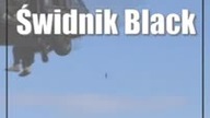 Świdnik: Black Hawk na lubelskim niebie (foto)