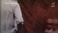 Andrzej Rosiewicz - Motyw z Serialu Czterdziestolatek (Kino Polska Muzyka)