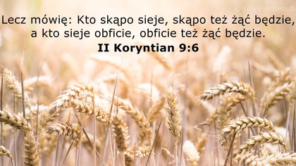 Bogdan Pieczyrak - Wiele razy