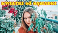 KWIATKI OD SĄSIADKI | rita vlog