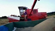 Bizon i Ursus c 4011 żniwa 2019