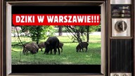 Pozycja Nr.  2136 ...  04/10/2026 ...  lubimy czytać ...