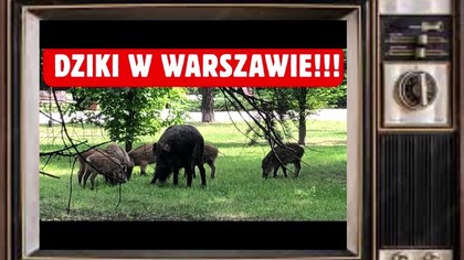 Pozycja Nr.  2136 ...  04/10/2026 ...  lubimy czytać ...