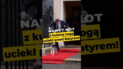 Nawet kot z kulawą nogą uciekł przed Batyrem! #polityka #batyr #downingstreet #kot #IPPTVNaŻywo