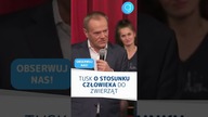 Tusk o STOSUNKU człowieka do zwierząt #shorts