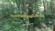 Zlepek filmik&oacute;w z jazdy wąskotorową w Dynowie