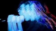 Napalm Death Plague Rages (Official Video)