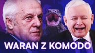 MAMLA, MLASKA, ŚLINA ŚCIEKA NIESIOŁOWSKI PORÓWNAŁ KACZYŃSKIEGO DO WARANA Z KOMODO