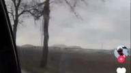dowiedziałeś sie, że Cie zdradza #music #wildlife #dance