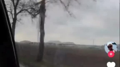 dowiedziałeś sie, że Cie zdradza #music #wildlife #dance