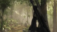 Crysis