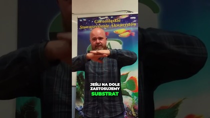 Czy substrat to dobry pomysł ? #akwarium #aquascaping 