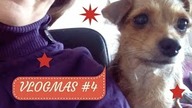 VLOGMAS #4 - czy pozytywne myślenie działa?