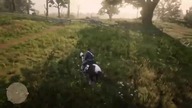 red dead 2 online