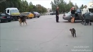 A m&oacute;gł zabić   