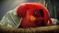 (Maniek) THE Angry Birds Movie (Polski Zwiastun)