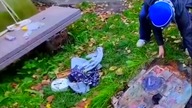 Dzień z życia mrówczarza 
