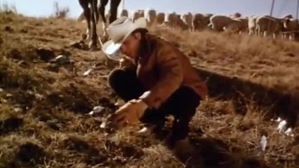 ROSWELL (film) dramat, sensacja (1994) lektor PL