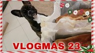 GOTUJEMY NA ŚWIĘTA / ZAKUPY Z KASIĄ / VLOGMAS 23