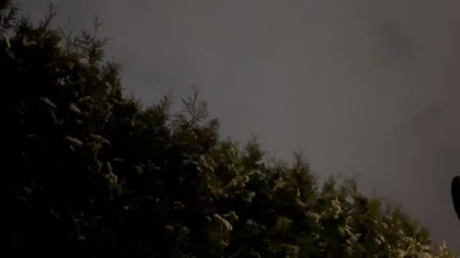 Flying Christmas Tree
