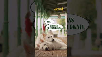  My: robimy słodkie przytulanko.  Wy:  Aww, muszę zobaczyć ten film! My:  Piesfekcyjnie! 