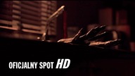 Baba Jaga - spot  (w kinach od 24 marca!)