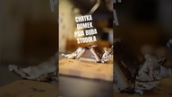 CHATKA