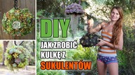 DIY ogrodowy - kwiecista kulka z rojników