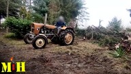 Ursus C330! Wyrywanie korzeni, drzewek