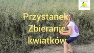 wycieczka polną drogą w wersji 6:19