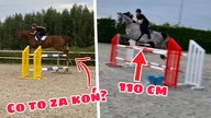 NOWY KOŃ? 2 KONIE I 4 TRENINGI SKOKOWE *skoki 110 cm*