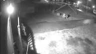 Tczew - przerzucono psa przez ogrodzenie tczewskiego schroniska dla zwierząt