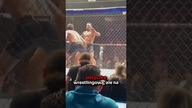 Aktor w UFC? | Jake Gyllenhaal #shorts