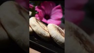 Świetny przepis na rodzinny obiad ! Najlepsze chlebki jakie jadłam ! Bez piekarnika !