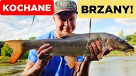 336 KOCHANE BRZANY! RZEKA JAK TAJFUN!