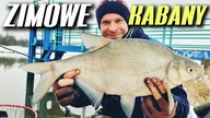 453 ZIMOWE KABANY W MIEŚCIE - WROCŁAW LECLERC