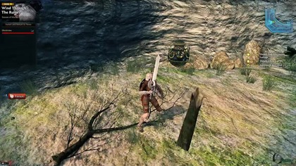 Vindictus: Glitch with broken trees trunk