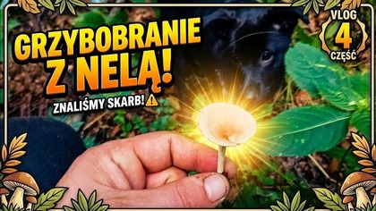VLOG #4 Z GRZYBÓW Z NELĄ  Idziesz na grzyby? Nela ma nosa! |