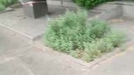przychodźcie na demonstrację.