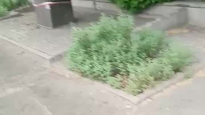przychodźcie na demonstrację.