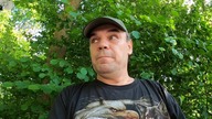 Idę po chrust