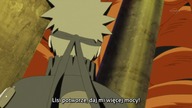NarutoSP filler 448: Towarzysz