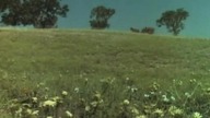 22.  Domek Na Prerii S02E22 (PL)