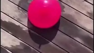 Sus Finally Revealed