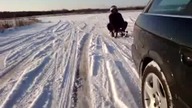 Kulig za samochodem przy 160km/h